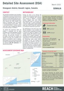 REACH SOM Factsheet DSA Shangaani March 2021