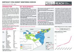 Market Monitoring in Northeast Syria, June 2020 Situation Overview