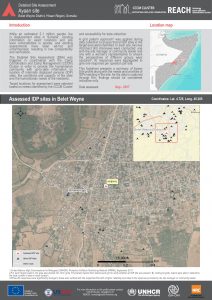 SOM_Factsheet_DSA Site Level_Belet Weyne District_July 2018