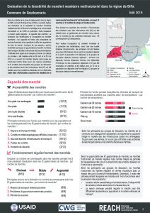 NER_Factsheet_Evaluation Cash Goudoumaria_Juillet 2019