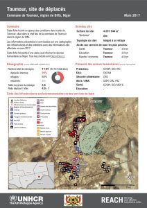 NER_HCR_Factsheet_Profil Site de Déplacés_Commune de Toumour_Toumour_Mars 2017.pdf