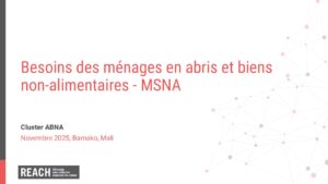 REACH Mali MSNA 2025 Présentation ABNA