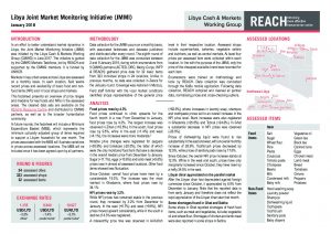 LBY_Situation Overview_Joint Market Monitoring Initiative (JMMI)_January 2018