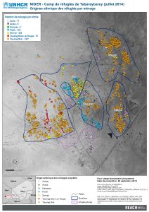 NER_Map_CampTabarey_OrigineEthn_26Sept2014_A3_Fr_v1