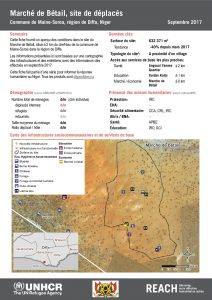 NER_Factsheet_Profil Site de Déplacés de Maché de Bétail_Septembre 2017
