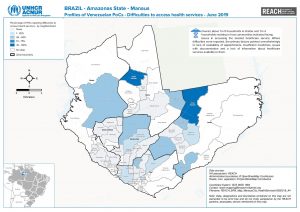 BRA_Map_ManausCity_HealthServices16082019_A4.pdf