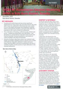 REACH Somalia Zoom-in: Humanitarian Situation Monitoring (HSM) in Bulo Burto District, January 2024
