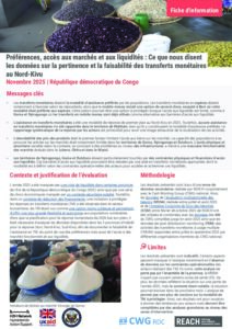 REACH - RDC - Etude de la pertinence et faisabilité des transferts monétaires au Nord-Kivu (Novembre 2025)