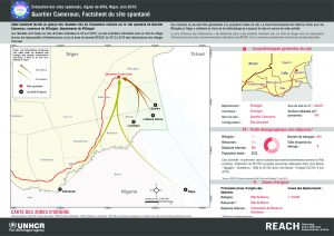 NER_Factsheet_Displacement Site QuartierCameroun_Juin2016