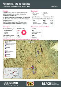 NER_HCR_Factsheet_Profil Site de Déplacés_Commune de Kabalewa_Nguitchima_Mars 2017