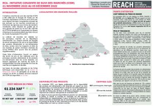 REACH_RCA_Fiche_informative_Suivi_des_marchés_Novembre_2022