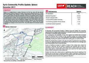 SYR_Factsheet_Community Profile Update_Qaboun_December 2017