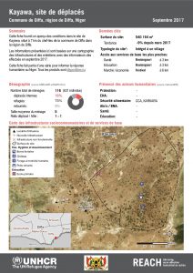 NER_Factsheet_Profil Site de Déplacés de Kayawa_Septembre 2017