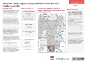 REACH - RDC - ICSM - Factsheet - Janvier 2025