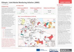 REACH Ethiopia - Joint Market Monitoring Initiative (JMMI) Factsheet - November 2025