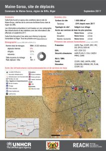 NER_Factsheet_Profil Site de Déplacés de Maine-Soroa_Septembre 2017