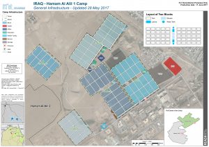 REACH_IRQ_Map_IDP_HamamAlAlil_1_Overview_11June2017