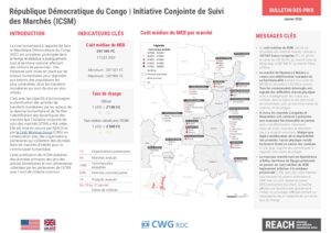 REACH - RDC - ICSM - Factsheet Janvier 2026