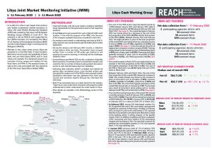 REACH Libya JMMI Situation Overview February and March 2022