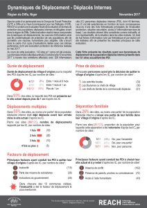 NER_Factsheet_Dynamiques de déplacement_PDI_Novembre 2017