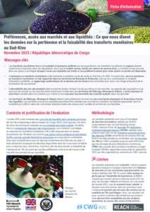 REACH - RDC - Etude de la pertinence et faisabilité des transferts monétaires au Sud-Kivu (Novembre 2025)