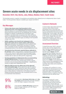 South Sudan - Severe Acute Needs in Displacement Sites Factsheet (November 2025)