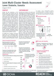 Somalia Joint Multi-Cluster Needs Assessment, Lower Shabelle Regional FS, August 2019