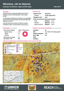 NER_HCR_Factsheet_Profil Site de Déplacés_Commune de Chetimari_NGourtoua_Mars 2017