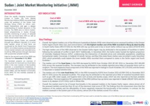 REACH Joint Market Monitoring Initiative (JMM) December 2023