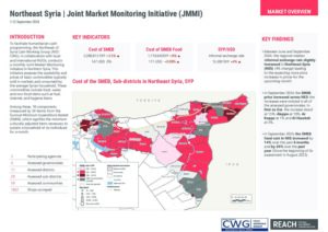JMMI NES Factsheet September 2024