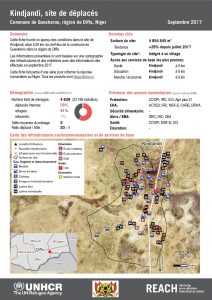 NER_Factsheet_Profil Site de Déplacés de Kindjandi_Septembre 2017