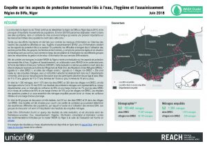 NER_Factsheet_Enquête Protection EHA à Diffa_Juin 2018