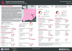SSD_Factsheet_Kapoeta Town Road Monitoring_February 2018