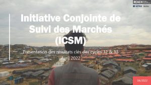 REACH_HTI_ICSM_R12 & R13_Résultats_Clés_Avril22