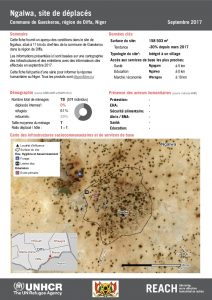 NER_Factsheet_Profil Site de Déplacés de Ngalwa_Septembre 2017