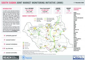 Joint Market Monitoring Initiative (JMMI) Factsheet, South Sudan – November 2020