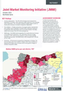 REACH Syria - NWS Northwest Factsheet JMMI (October 2023)