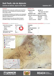 NER_Factsheet_Profil Site de Déplacés de Oudi Peulh_Septembre 2017