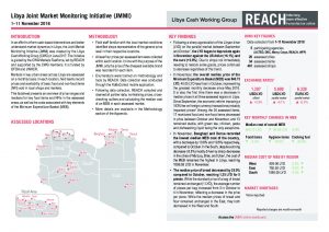 LBY_Factsheet_Joint Market Monitoring Initiative (JMMI)_November2018