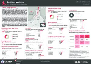 SSD_Factsheet_Renk Road Monitoring_November 2017