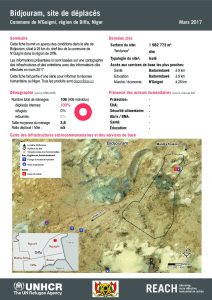 NER_HCR_Factsheet_Profil Site de Déplacés_Commune de N'Guigmi_Bidjouram_Mars 2017