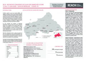 Joint Market Monitoring Initiative (JMMI) COVID-19 Factsheet, Central African Republic – Mid-June 2020