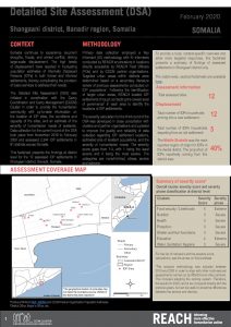 Detailed Site Assessment, Shangaani - February 2020