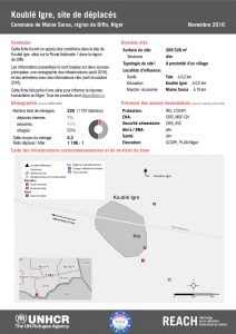 NER_Factsheet_Displacement Site Koublé Igre_Novembre2016