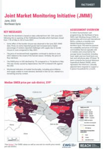 REACH_SYR NES Northeast Factsheet JMMI June 2023
