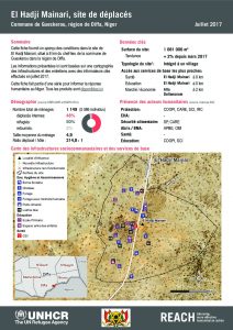 NER_HCR_Factsheet_Profil Site de Déplacés de El Hadji Mainari_Juillet 2017