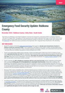 Rubkona County Food Security Update