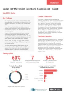 REACH Sudan IDP Intentions Assessment Rabak Factsheet (March 2024)