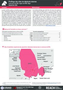 Profilage des sites de déplacés internes dans la commune de Diffa, région de Diffa, Niger - Septembre 2020