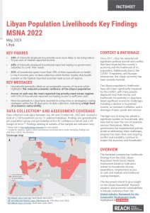 2022 MSNA Livelihoods Key findings factsheet